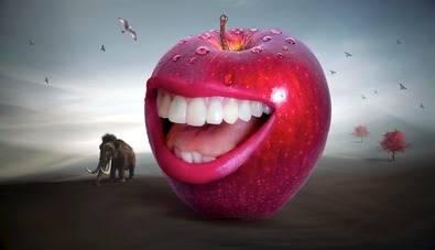 Fit en Slank boven